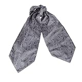 ERA7B05 Classic Present Silk Ascot Patterned Mens Cravat for Designer By Epoint