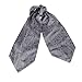 ERA7B05 Classic Present Silk Ascot Patterned Mens Cravat for Designer By Epoint