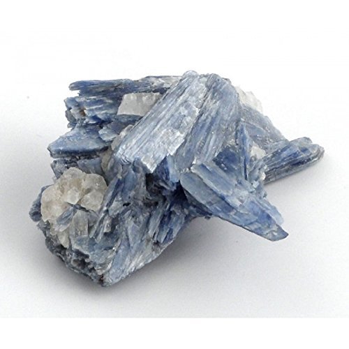 Blue Kyanite Raw Rock Specimens .75 - 1.5 Inch Qty. 2 with Info Cards