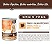 Holistic Select Natural Wet Grain Free Canned Cat Food, Turkey & Salmon Pâté Recipe, 13-Ounce Can (Pack Of 12)
