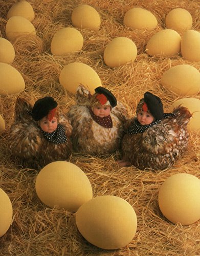 Ceaco Anne Geddes Chicken Baby Jigsaw Puzzle (550-Piece)