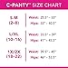 UpSpring C-Panty C-Section Recovery Underwear with Silicone Panel for Incision Care, Tummy Control Panties High Waist Postpartum Underwear for Womens Black