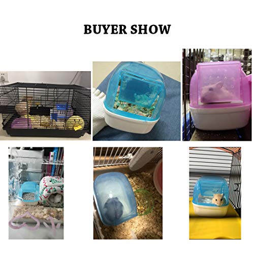 sugar glider dust bath