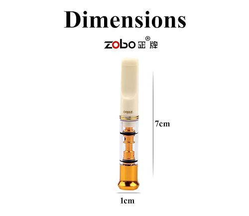ZOBO Regular Size Cigarette Filter Holder Fear and Loathing Hunter S  Thompson Type, Clean Smoke, Reduce Tar and Smoke Stains, Elegant and  Stylish (with 1 Extra Mouthpiece and Sealing Ring) in Saudi