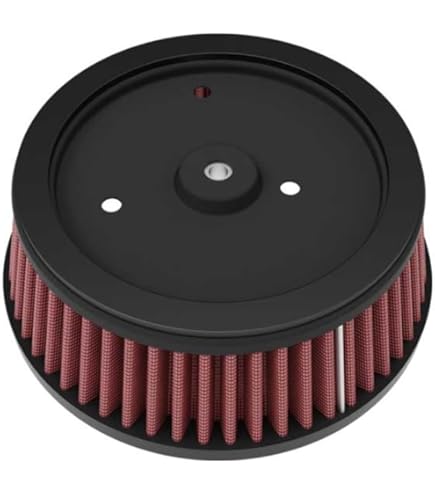 Amazon.com: Kuryakyn 9439 Alley Cat Air Cleaner/Filter Cover for