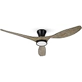 TALOYA 52 inch Ceiling Fans with Lights Remote Control, Modern Low Profile Ceiling Fan with Quiet Reversible DC Motor for Bed