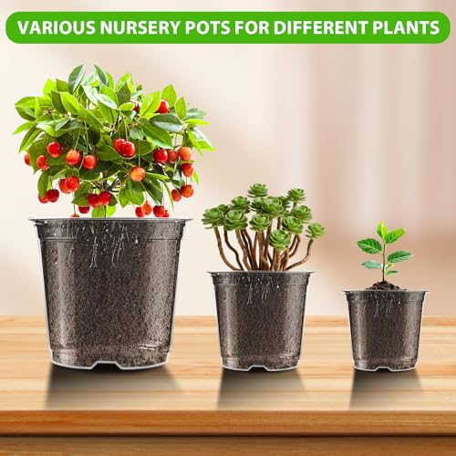 auriikoop 36 Pieces Plastic Pots, 13/15/18 cm Transparent Orchid Pots with Drainage Holes for Indoor and Outdoor Plant Cuttings