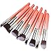 ACEVIVI Professional 10pcs Premium Synthetic Kabuki Makeup Brush Set Foundation Blending Cosmetic Brushes Essential Kit Pink + Silver