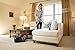 Electrolux EL4021A Silent Performer Bagless Canister Vacuum with 3-in-1 Crevice Tool and HEPA Filter , Black