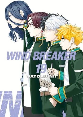WIND BREAKER 17: Nii, Satoru: 9781646519644: Amazon.com: Books