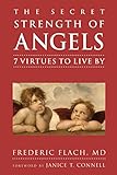 The Secret Strength of Angels: 7 Virtues to Live By (Little Book. Big Idea.) by
