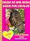 Livro Diário de uma Miúda Doida por Cavalos
