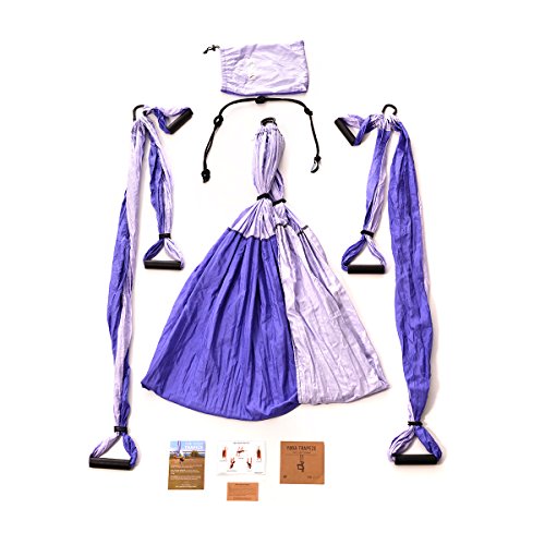 Yoga Trapeze Swing Set for Home & Outdoor | Easy Setup for Strength, Balance & Back Pain Relief | Adjustable Straps & 600lb Capacity, Includes Carrying Bag & Online Tutorials, Purple