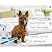 Yanamoki Self-Cleaning Double-Sided Pet Hair Fur Lint Remover Brush Kit - Removes Dog Cat Pet Hair from Clothing, Furniture, Sofa, Home, Car