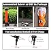 Rodzon Basketball Outdoor/Indoor Game Basketball with Pump, Needles, Basketball Net-Official Size 7 (29.5
