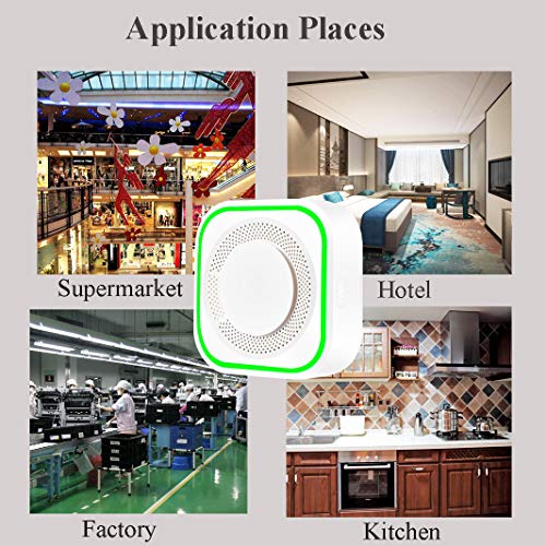 Natural Digital Gas Detector, Gas Leak Detection, Home Gas Alarm, Plug-in Digital Alarmer, High Sensitivity LPG LNG Coal Natural Gas Leak Detection, Alarm Monitor Sensor for Home Kitchen