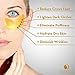 20 Pairs - Natural Solutions - 24K Karat Gold - Hyaluronic Acid, Collagen Under Eye Bags Treatment - Gel Snail Mask Pads for Puffy Eyes, Dark Circle - Pure Undereye Patches/Masks For Women & Men