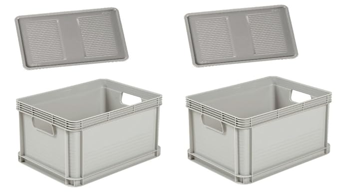 Unbekannt 2 x Robusto-Box mit Deckel 20 L grau Aufbewahrungsbox Box Kiste