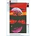 5D Diamond Painting Full Drill Kits,Lavany 5D DIY Diamond Paints by Number Kits Embroidery Rhinestone Pasted Wall Decor,Stamped Cross Stitch Kits,Moon Tree (Dreamlike Tree✿B)