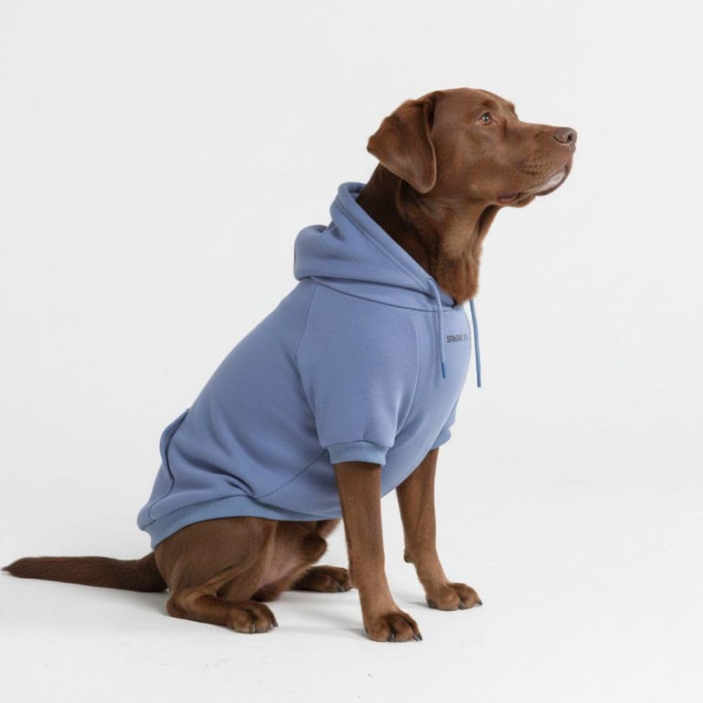 Cozy minimalist blue hoodie