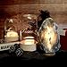 MAYMII·HOME Rare Large (8-13lbs) Natural Grey Gray Balck Himalayan Crystal Salt Table Lamp, Hymilian Sea Salt Night Light Lamps with Touch Dimmer Switch Control,Nightlight,Candle Holders