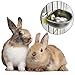 Hacloser Automatic Rabbit Drinker Water Feeder Fix Bowl Stainless Steel T Joint Equipment (2#)thumb 1