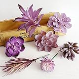 Dutch Brook 5 Pcs Purple Simulation Succulents Artificial Cactus Plants for Home Office Garden Decor (Sent Randomly)