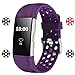 For Fitbit Charge 2 Bands, Adjustable Replacement Sport Strap Bands for Fitbit Charge 2 Smartwatch Fitness Wristband Soft Silicone All Plum Large