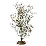 Aqueon 09850 Coral Aquarium Plant, 11-Inch