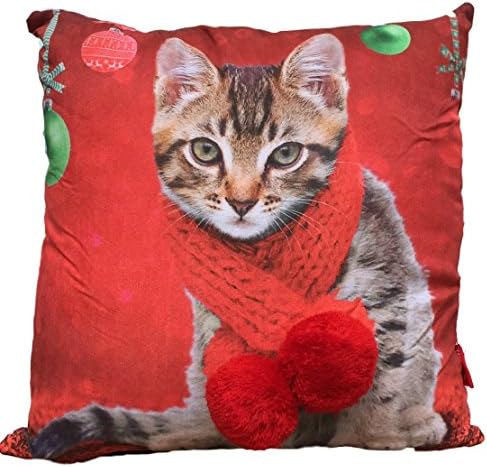 Christmas Throw Pillow, Holiday 3D Photoreal Cushions, Fun 3D Elements such as Bows, Hat, Plush, & Pom-Poms, 17 x 17 (Multiple Designs) (Cat)