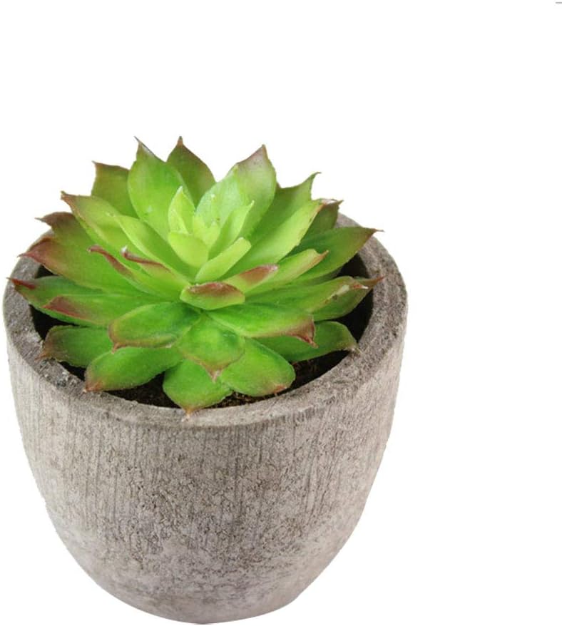 Drawihi Artificial Succulents Plants in Pots Fake Succulent Planter Faux Plants Simulation Bonsai Landscape Plants with Pots for Home Indoor Outdoor Decor