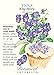 King Henry Viola Seeds - 200 mg - Perennial