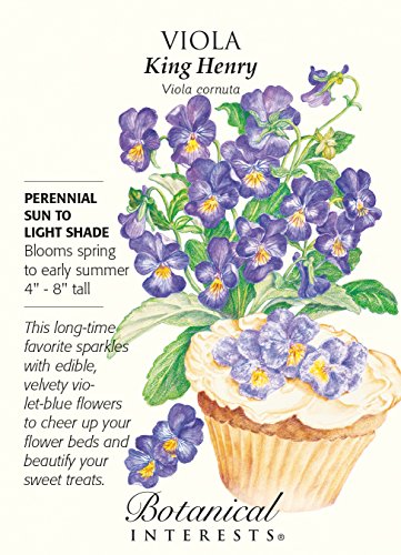 King Henry Viola Seeds - 200 mg - Perennial King Henry Viola Seeds - 200 mg - Perennial
