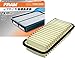 FRAM Extra Guard CA9115 Replacement Engine Air Filter for Select Toyota, Scion and International Models, Provides Up to 12 Months or 12,000 Miles Filter Protection