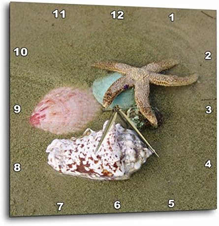 Florene Star Fish n Sea Shells Wall Clock, 10 by 10-Inch