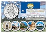 2010 America The Beautiful COLORIZED Quarters U.S. Parks 5-Coin Set w/Capsules by Merrick Mint