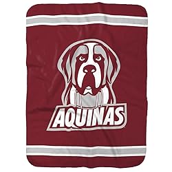 Aquinas College Saints Primary Logo Stripes Sherpa