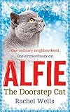 Alfie the Doorstep Cat: The Sunday Times bestseller and perfect stocking filler by Rachel Wells