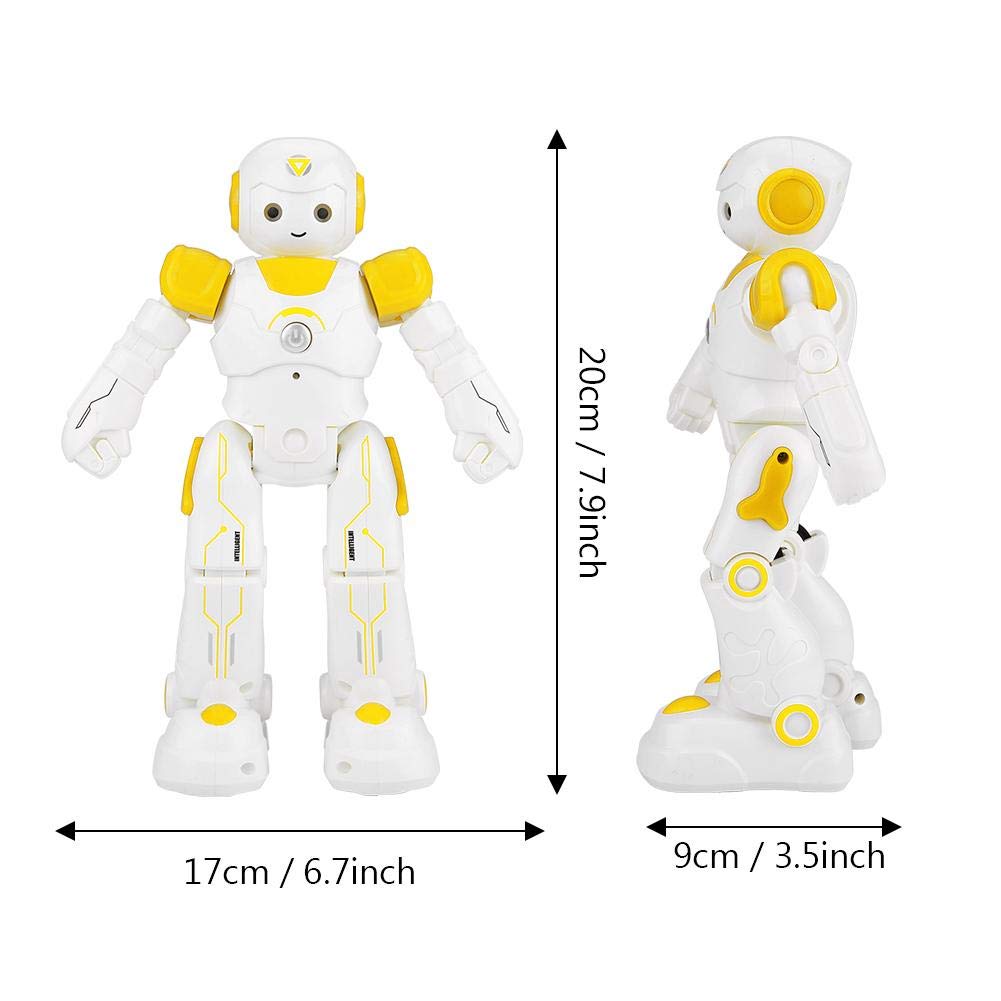 robot toys for teens