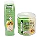 Bundle/combo Boe Mayoliva (Mayolive) Shampoo 12oz and Hair Treatment 16oz