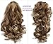 CAISHA 2 IN 1 Ponytail 12