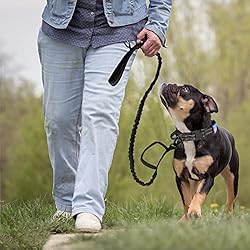KCUCOP Tactical Dog Collar with Handle,Adjustable