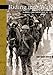 Riding Into War: The Memoir of a Horse Transport Driver, 1916-1919 (New Brunswick Military Heritage by James Robert Johnston