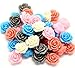 Housweety 100 Mixed Resin Flower Embellishments Jewelry Making Findings 14x6mm(1/2