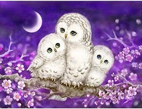 5D Home Decoration, Diamond Embroidery Paintings Wall Sticker Owl Animals Counted Cross Stitch Kit