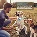 Boshel Dog Bark Collar – Newest Upgraded Anti Bark Electric Dog Collar – Beep, Vibration & Safe Humane Static Shock – For Small, Medium & Large Dogs – Rechargeable & Waterproof Pet Anti Barking Collarthumb 3