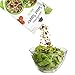 naturSource Salad Topper Smart Life Vegan No Artificial Ingredients 2 lb