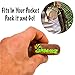 Shmokez Premium Designed Small and Portable Pipe with Storage and Stainless Steel Screen Filters