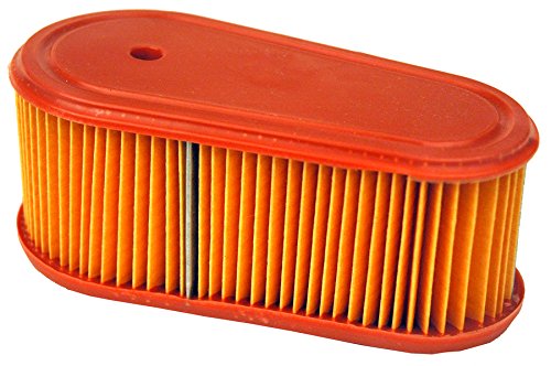 Maxpower 334396 Air Filter and Pre-Cleaner for Briggs and Stratton 795066/5419K/796254