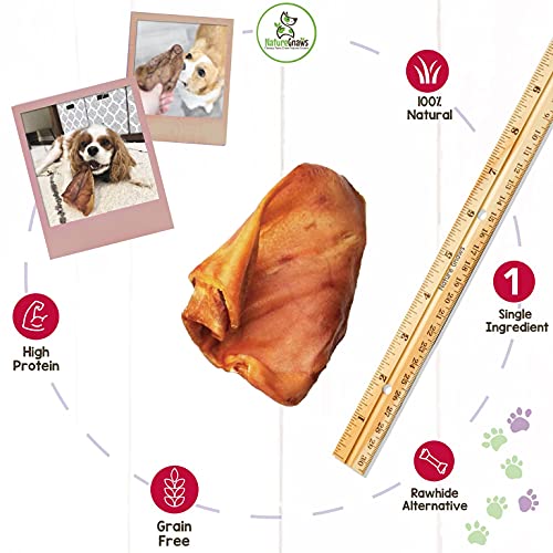 Nature Gnaws Pig Ears for Dogs Premium Natural Whole Pork Chews